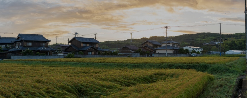 JA共済連の取り組み