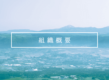 組織概要